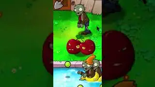 ОДНОРАЗОВЫЕ РАСТЕНИЯ В PVZ - ЛЮТАЯ ИМБА! И ВОТ ПОЧЕМУ...