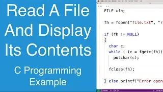 Read A File And Display Its Contents | C Programming Example