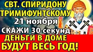 1 июля СКАЖИ: ДОСТАТОК И ДЕНЬГИ БУДУТ В ДОМЕ ВЕСЬ ГОД! Молитва Спиридону Тримифунтскому. Канон