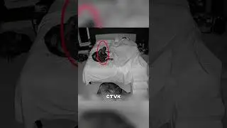 Храбрые собаки встали на ЗАЩИТУ хозяйки😨🔥🐶