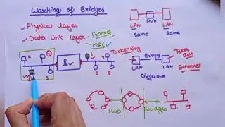 Working of Bridges|Data communication and computer networks|Lec 54|Ankita Sood