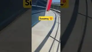 Susayan serçe 😍