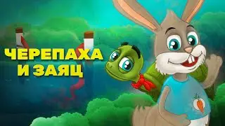 Черепаха и кролик  | Сказки на ночь