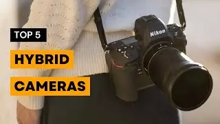 Best Hybrid Cameras for Photo & Video (2024)