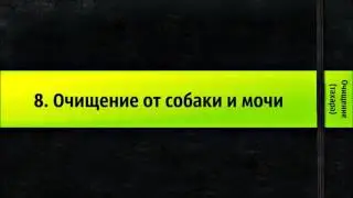 8. Очищение от собаки и мочи. Очищение (тахара) || Ринат Абу Мухаммад