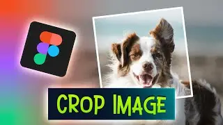 How to Crop a Picture in Figma