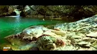 Franziskaner - Hiker falls in rock pool