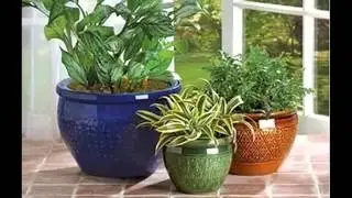 Ceramic Flower Pots | Picture Set Beautiful Decorative Handwork