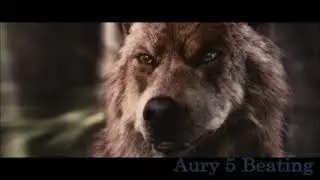 Twilight Wolves - Wild