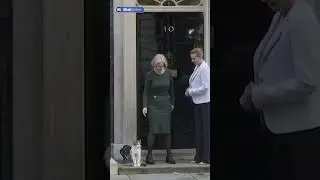 A look at some of 'Chief Mouser' Larry the Cat's best moments at Downing Street