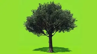 Green Screen Trees Moving || GTA V MODS || VFX Effects