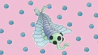 opabinia !! music for cambrian animals