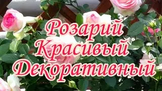 Розарий.Красивый.Декоративный