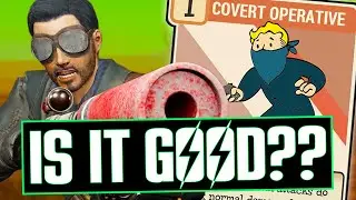 Fallout 76 Hunting Rifle, Is It Worth Your Time?