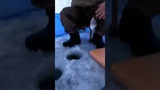 Рыбалка на поплавок в Январе!