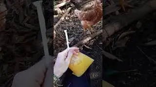 "hay refrescos naturales" bagged fruit juices in Nicaragua