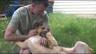 Group fosters pets for people recovering from drug, alcohol addiction
