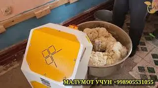 ТОЖИГИСТОНГА ОЛИБ УТГАН МИШАЛКАДА 280 ГМ ВА 500 ГМ НОНЛАРНИ ХАМИРИНИ КУРСАТИЛДИ