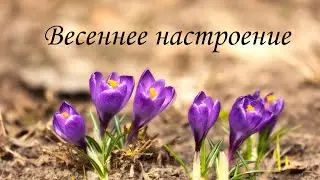 Весеннее настроение