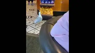 Называется "нашёл"!