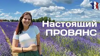 VLOG || ЛАВАНДА !!! 💜 / Природа Прованса 🌺/ Полный релакс 🧖🏼‍♀️