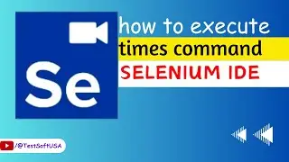 How to run times command in Selenium IDE?