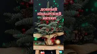 Добрый январский вечер 🌆🎄