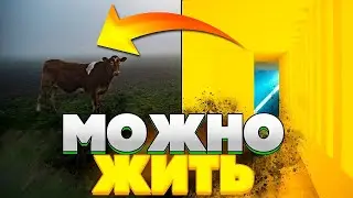 Самые Подходящие УРОВНИ для ЖИЗНИ в Закулисье, куда СТОИТ входить каждому