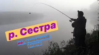 Рыбалка на реке Сестра. Фидер. Красивая река. Большой лещ.