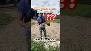 Кто у нас завелся на Веранде пока нас не было дома. 