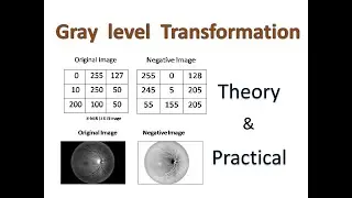 Gray level Transformation: Negative transformation. How can apply negative transform on image? Lec 5