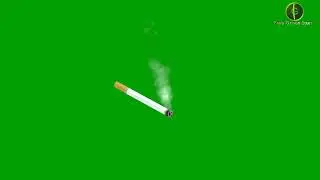 Cigarette and No Smoking Green Screen HD