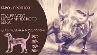 Таро-прогноз. 2021 год по восточному гороскопу для рожденных в год СОБАКИ