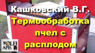 #Кашковский