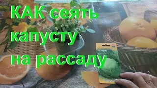 Месяц назад ПОСЕЯЛА КАПУСТУ в УЛИТКУ-результат удивил!