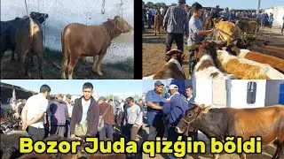 Sirdaryo viloyati Hovos chorva bozori bugungi narhlar bilan tanishing 31.05.2024yil
