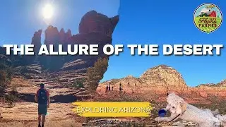 AZ Adventures
