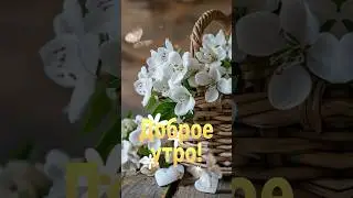 Доброе утро 🤗 