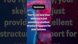 Facts About Human Body: Skeleton 