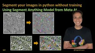 307 - Segment your images in python without training using Segment Anything Model (SAM)