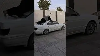 The world strongest man 