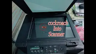 Cockroach into scanner|| Brother DCP T310 Printer Scanner