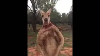 настоящий мужик