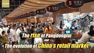 The rise of Pangdonglai and the evolution of Chinas retail market