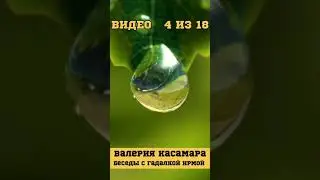 СЛИВ💦  Валерия Касамара с гадалкой Ирмой. [4/18]