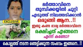 ആനയുടെ തുമ്പിക്കൈയിൽ നിന്നും ഭർത്താവിന്റെ ജീവൻ രക്ഷിക്കാൻ ഭാര്യ ചെയ്തത് കണ്ടോ?