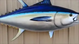 Bigeye Tuna Fish Mount Replica by Coast to Coast Fish Mounts