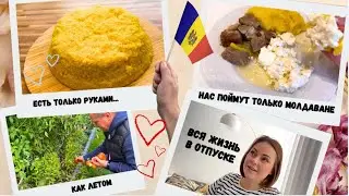 ЕСТЬ ТОЛЬКО РУКАМИ- молдоване поймут / урожай как летом/ Сколько можно отдыхать🤣