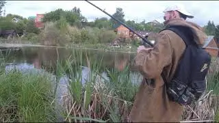 Рыбалка на карася. Ондатра. Утки против ворон