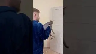 Как мы купаем Шубу